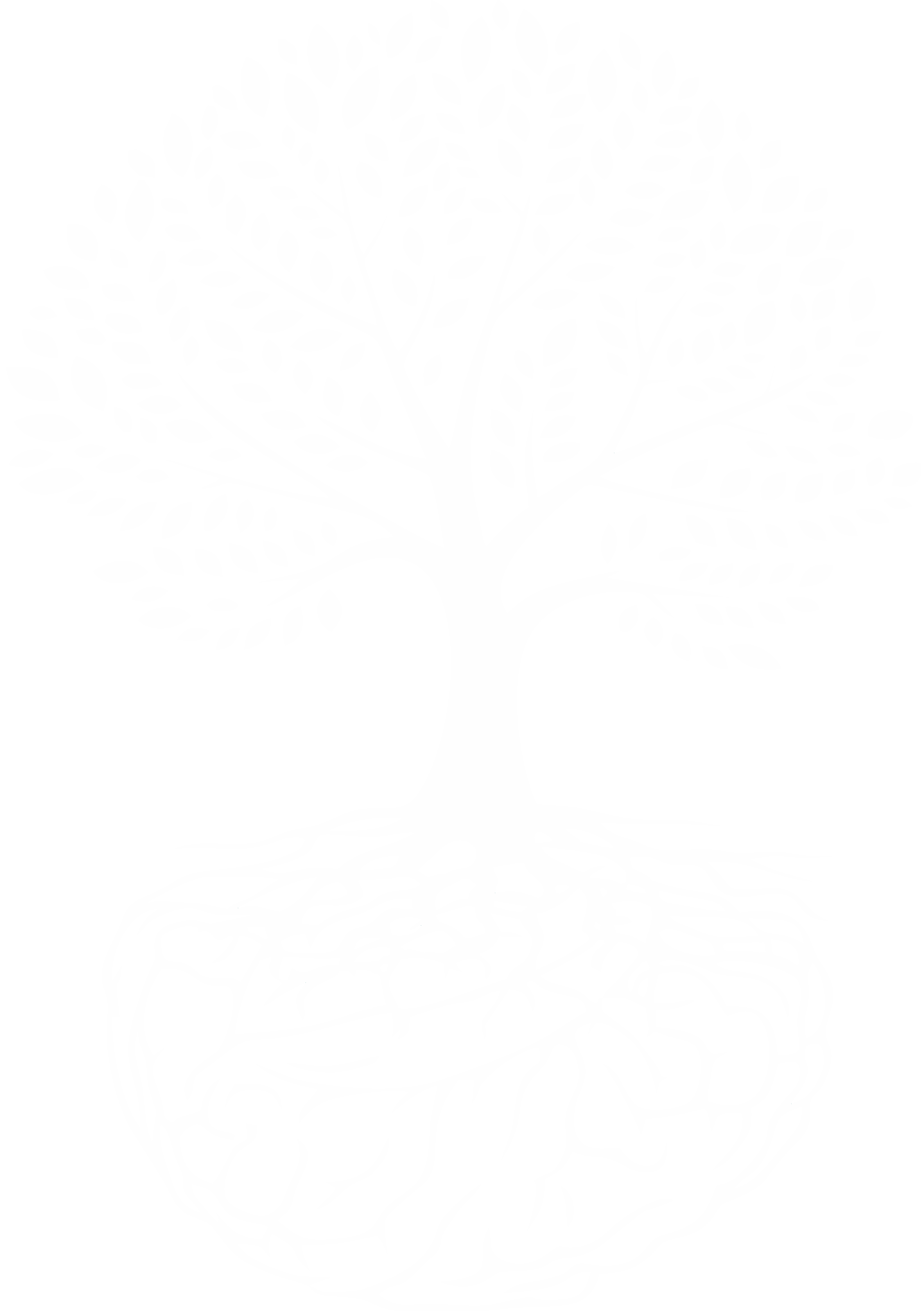 Clínica Psicoflorescer